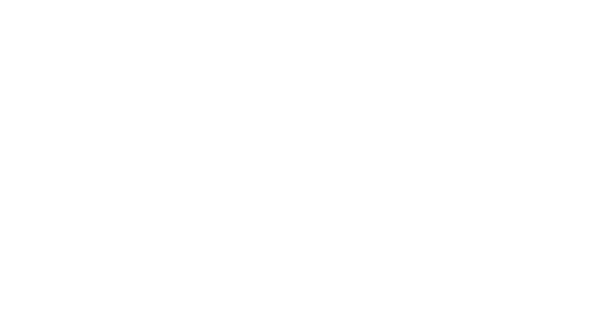 Visionary Marketing Solutions